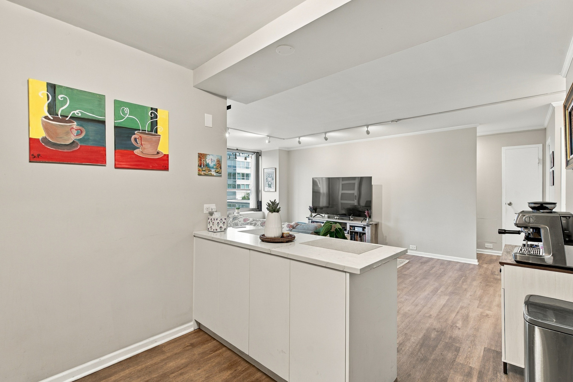 Kitchen open to the living room